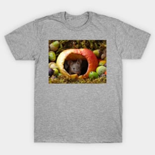 wild house mouse  in a apple T-Shirt